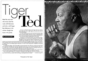 Tiger Ted